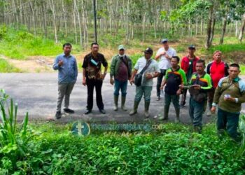 Jalan Provinsi Exit Tol ke Arah Pemda Tubaba Akan Dilakukan Pelebaran