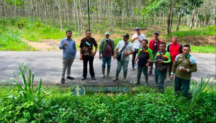 Jalan Provinsi Exit Tol ke Arah Pemda Tubaba Akan Dilakukan Pelebaran