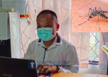 Memasuki 2022 Kasus DBD di Tubaba Mulai Meningkat, Ini Penjelasan Dinkes