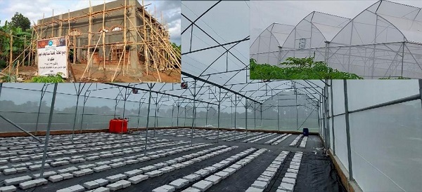 Al Mujaddid Tubaba Menjadi Pusat Green House Budidaya Melon