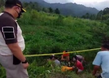 Pamit Berangkat Memanen Pepaya, Aliwansyah Ditemukan Meninggal di Dekat Kebunnya