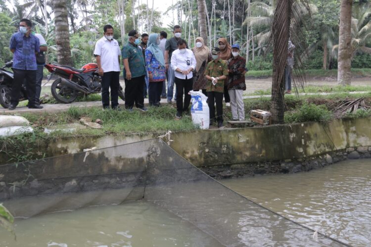 Pagelaran Dicanangkan Sebagai Kampung Budidaya Ikan Nila