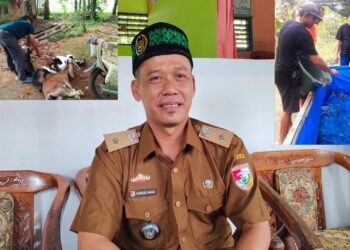 Selain BLT, Tiyuh Candra Mukti Tingkatkan Jalan Usaha Tani dan Hibah Ternak