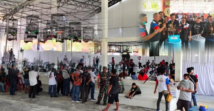 Hari ini Lomba Burung Kicau Tingkat Nasional Digelar di Tubaba