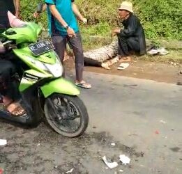 Lindas Kardus Isi Batu di Jalan, Remaja 15 Tahun Tewas Kecelakaan