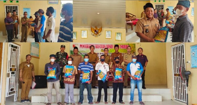 Petani Terdampak Banjir di Tiyuh Gedung Ratu Terima Bantuan Benih Padi Inbrida