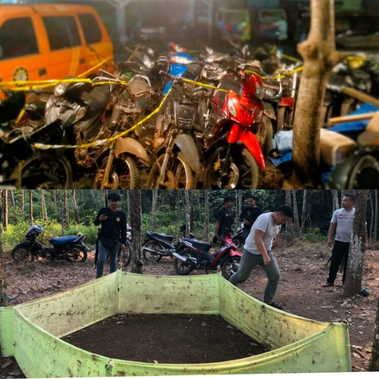 Kembali Gerebek Judi Sabung Ayam, Satreskrim Polres Way Kanan Amankan 19 motor, 2 ekor ayam bangkok