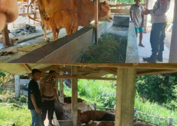 Cek Hewan Ternak, Kanit Binmas Sambangi Warga di Pakuan Ratu