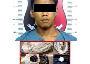 Diduga Curi Getah Karet AS Diamankan Polisi