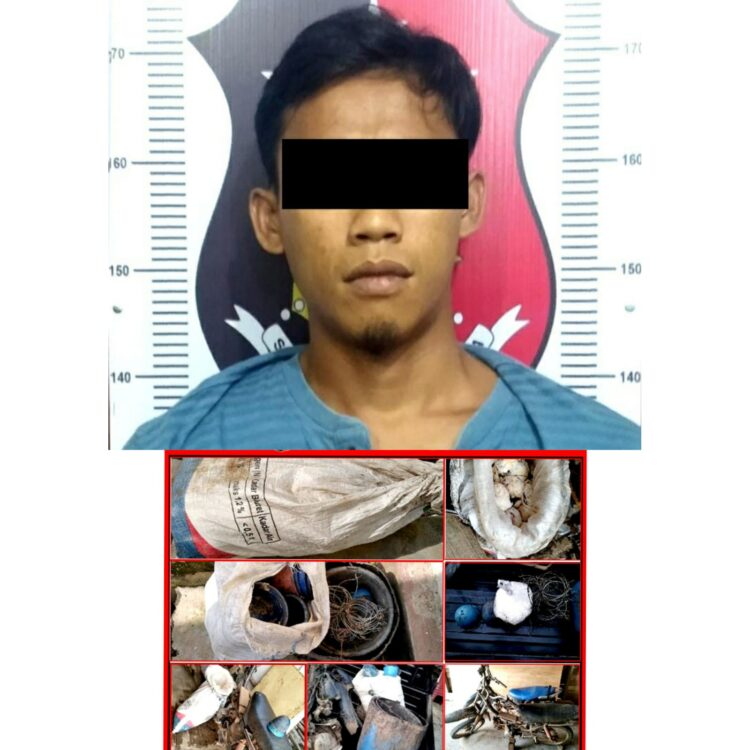 Diduga Curi Getah Karet AS Diamankan Polisi