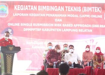 Libatkan 240 Pelaku usaha, DPPMPPTSP Cegah stunting