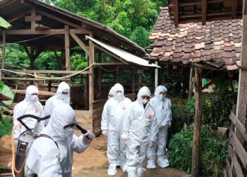 Mentan Tinjau Peternakan Sapi di Tubaba, Wabah PMK Ancam Perekonomian