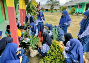 Siswa Muhammadiyah, Kenalkan Tanaman Obat