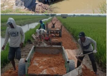 Demi Sejahterakan Petani, Pemdes SKA Bangun Jalan Usaha Tani dan Jembatan