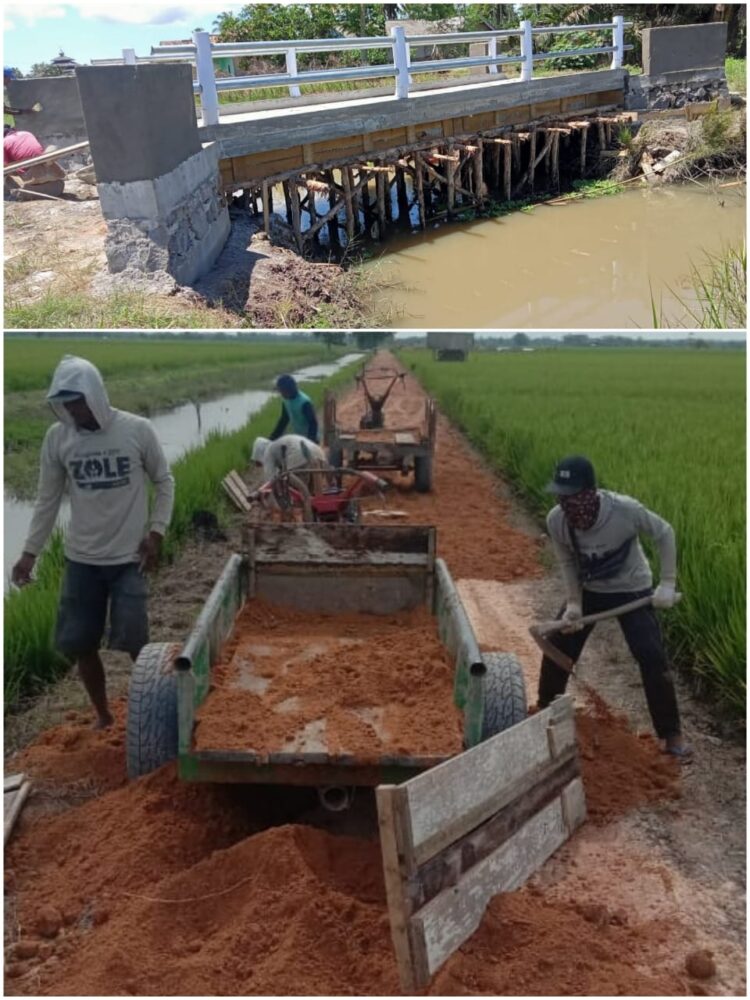 Demi Sejahterakan Petani, Pemdes SKA Bangun Jalan Usaha Tani dan Jembatan