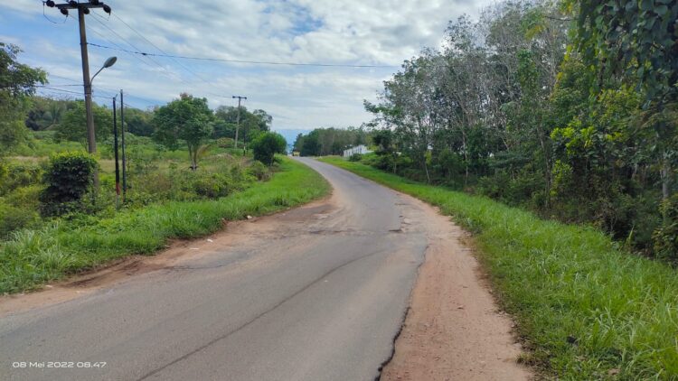 Warga Tubaba Keluhkan Jalan Provinsi Nyaris Putus