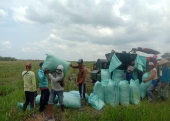 Butuh Perhatian, Petani Tirtalaga Kesulitan Angkut Hasil Panen Karena Akses Jalan Rusak