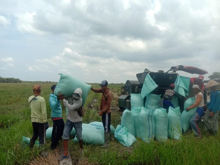 Butuh Perhatian, Petani Tirtalaga Kesulitan Angkut Hasil Panen Karena Akses Jalan Rusak