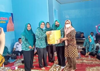 Pori Karlia Sulpakar; Kerajinan Khas Mesuji Harus Terus Di Lestarikan