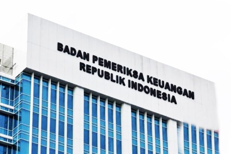 BPK Temukan Pengelolaan Persediaan Dinkes Belum Tertib