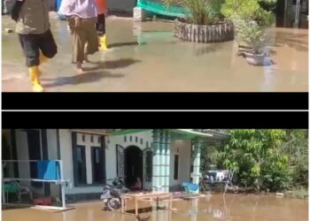 Terungkap Penyebab Banjir ROB Di Panggung Rejo Tiap Tahunnya, Karena Tidak Adanya Tanggul Penahan Air