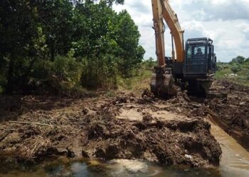 Dinas PUPR Mesuji Terus Bergeliat, Maksimalkan Pembangunan Di Bidang Pengairan