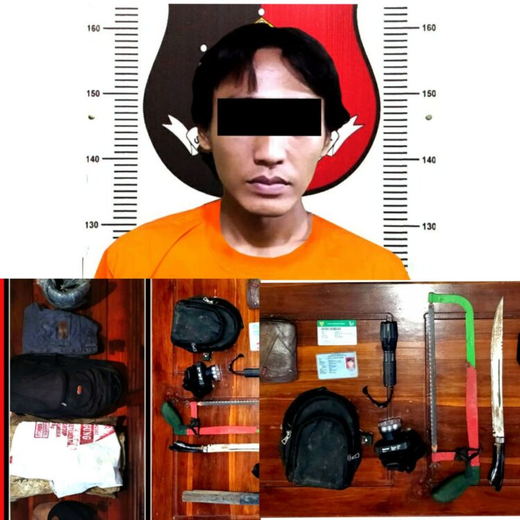 Kurang Dari Tiga Jam, Polsek Blambangan Umpu Ringkus Pelaku Curat Kabel Voksel Milik PLN
