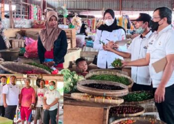 Harga Cabai dan Kebutuhan Pokok Lainnya di Tubaba Melambung Tinggi, Capai 150 ribu