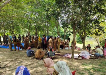 Pemkab Tubaba Sumbang 118 Ekor Kambing dan 8 Sapi Untuk Kurban