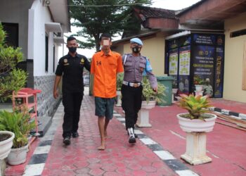 Satnarkoba Polres Pringsewu Ringkus Pengedar Narkotika, 6 Paket Sabu Disita