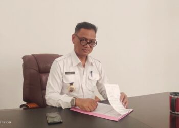 Pemkab Tubaba Data Tenaga Non ASN, ini Penjelasan BKPSDM