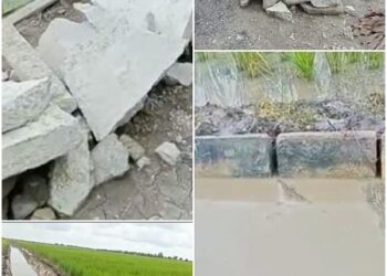 Dikerjakan Oknum Satpol-PP Mesuji, P3TGAI Sungai Badak Asal Jadi