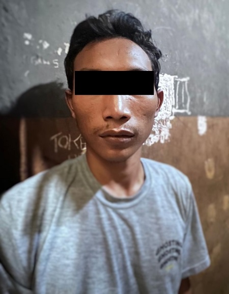 Diduga Curi Ratusan Tandan Sawit Pelaku diamankan Polisi