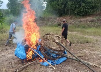 Polsek Pagelaran Grebek Arena Judi Sabung Ayam