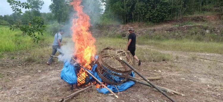 Polsek Pagelaran Grebek Arena Judi Sabung Ayam