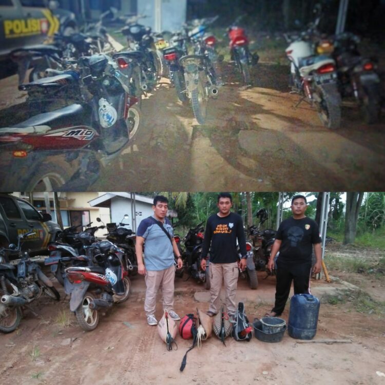 Tertibkan Judi Sabung Ayam, Polisi Negara Batin Sita Ayam dan Belasan Motor