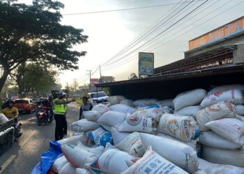 Truk Bermuatan 10 Ton Gabah Terguling Di Jalinbar Pringsewu, Polisi Terapkan Sistem Buka Tutup Arus Lalin