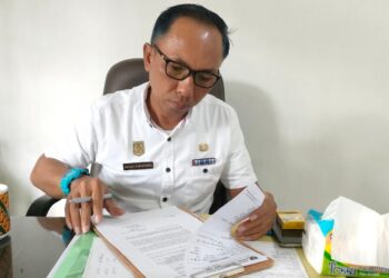 Lampu PJU Mati, Lapor Ke DLH Mesuji