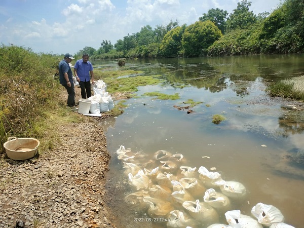Reses, Hartopo Tinjau Stock File Batu Di Kecamatan RJU