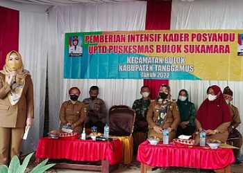Asyik! Kader Posyandu Terima Insentif Rp60 Ribu/Bulan