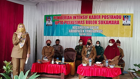 Asyik! Kader Posyandu Terima Insentif Rp60 Ribu/Bulan