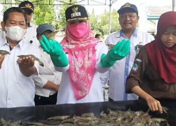 Bupati Tanggamus Bangga Murid SUPMN Kotaagung Sukses Budidayakan Udang Vaname