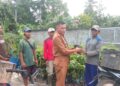 Pemdes Mekar Sari Bagikan Bibit Buah Alpukat