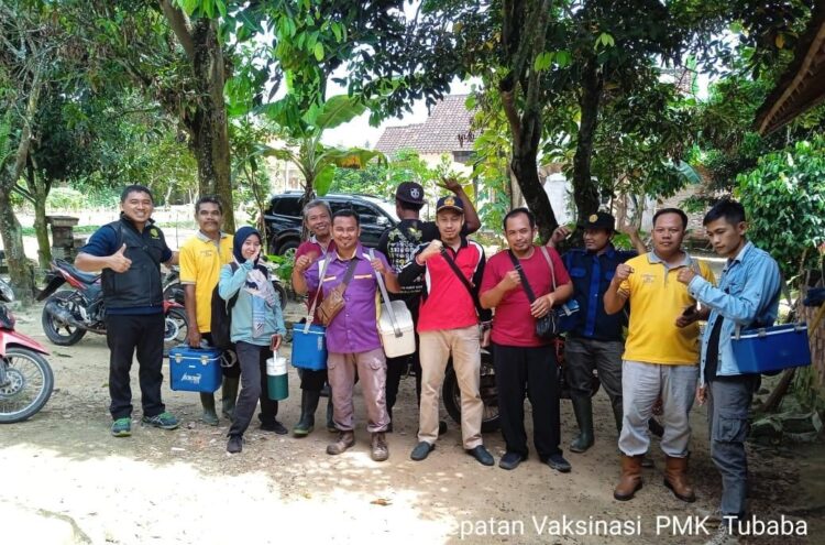 Vaksinasi PMK di Tubaba Capai 13.000 Ekor