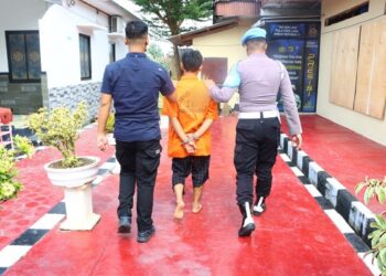 3 Bulan Buron, DPO Pencuri Sepeda Motor Diringkus Satreskrim Polres Pringsewu