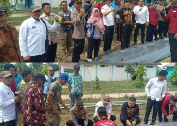 Meningkatkan Ketahanan Pangan, Polisi di Way Kanan Tanam Cabai