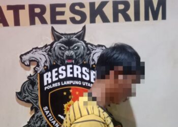 Pelaku Curas Di Desa Talang Jembatan, Diringkus Tekab 308 Presisi Polres Lampura