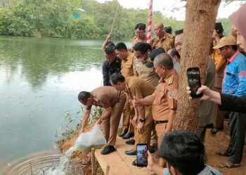 Sulpakar Tebar 421 Ribu Benih Ikan Di Bendungan Desa Mukti Jaya