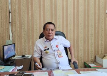 Retribusi DPMPTSP Tubaba Jauh Dibawah Target, ini Kendalanya
