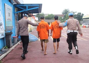Terlibat Kasus Narkotika Dua Pemuda Pringsewu di Amankan Polisi
